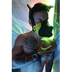 Breedwell Masque Poundtown Pup Breedwell Noir-Jaune
